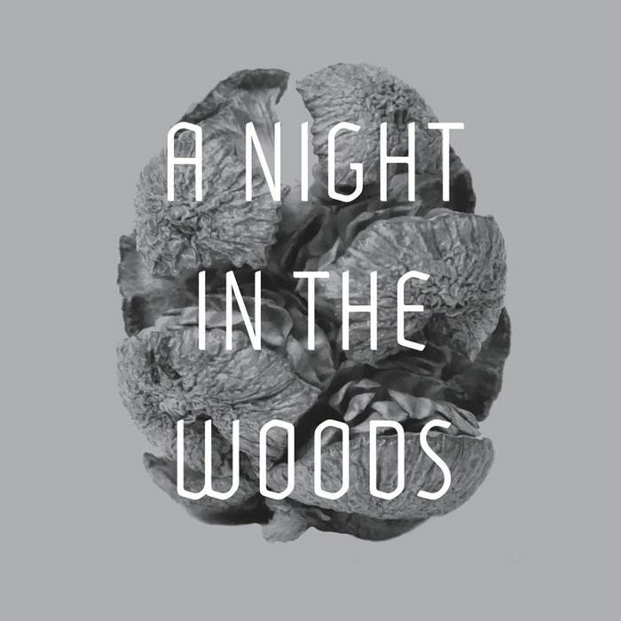 A Night in the Woods cover